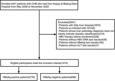 Study on liver histopathology of chronic HBV infected patients with different normal ALT values